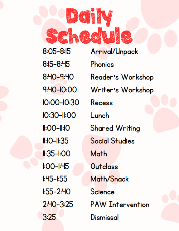 Daily Schedule